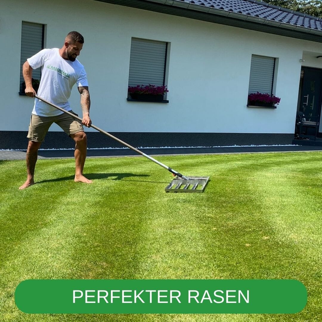 RISISANI Premium Rasenrakel L-80 in roestvrij staal Rasenrakel RISISANI Rasenrakel Duitsland